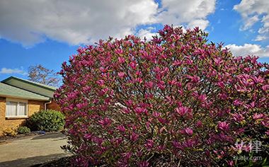 事实:电梯“吃人”商场应承担何种法律责任